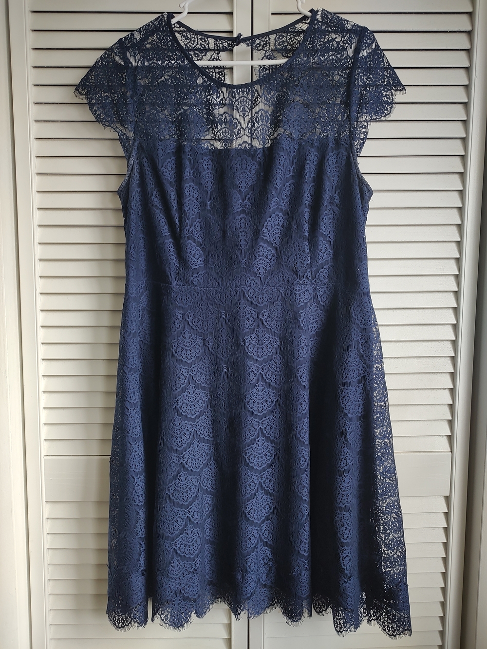 Kensie Navy Lace Midi Dress with Sheer Yoke and Cap Sleeves
